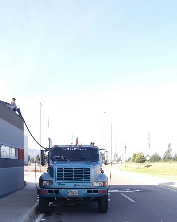 81